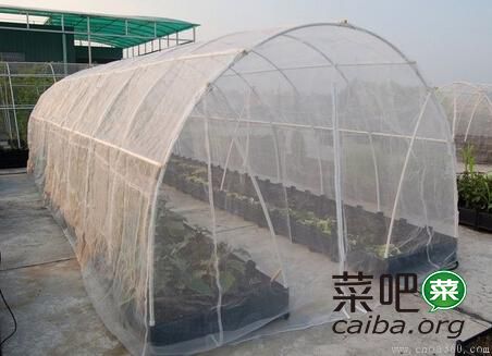 有机蔬菜防虫网