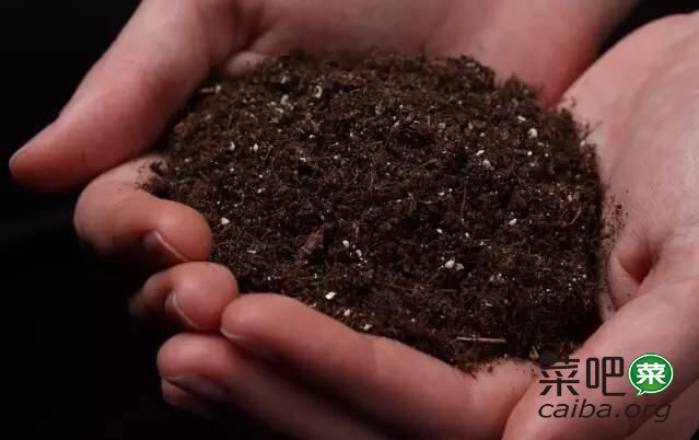 土壤有分类施肥各不同 