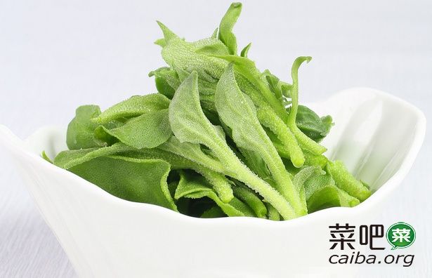 冰草种植技术